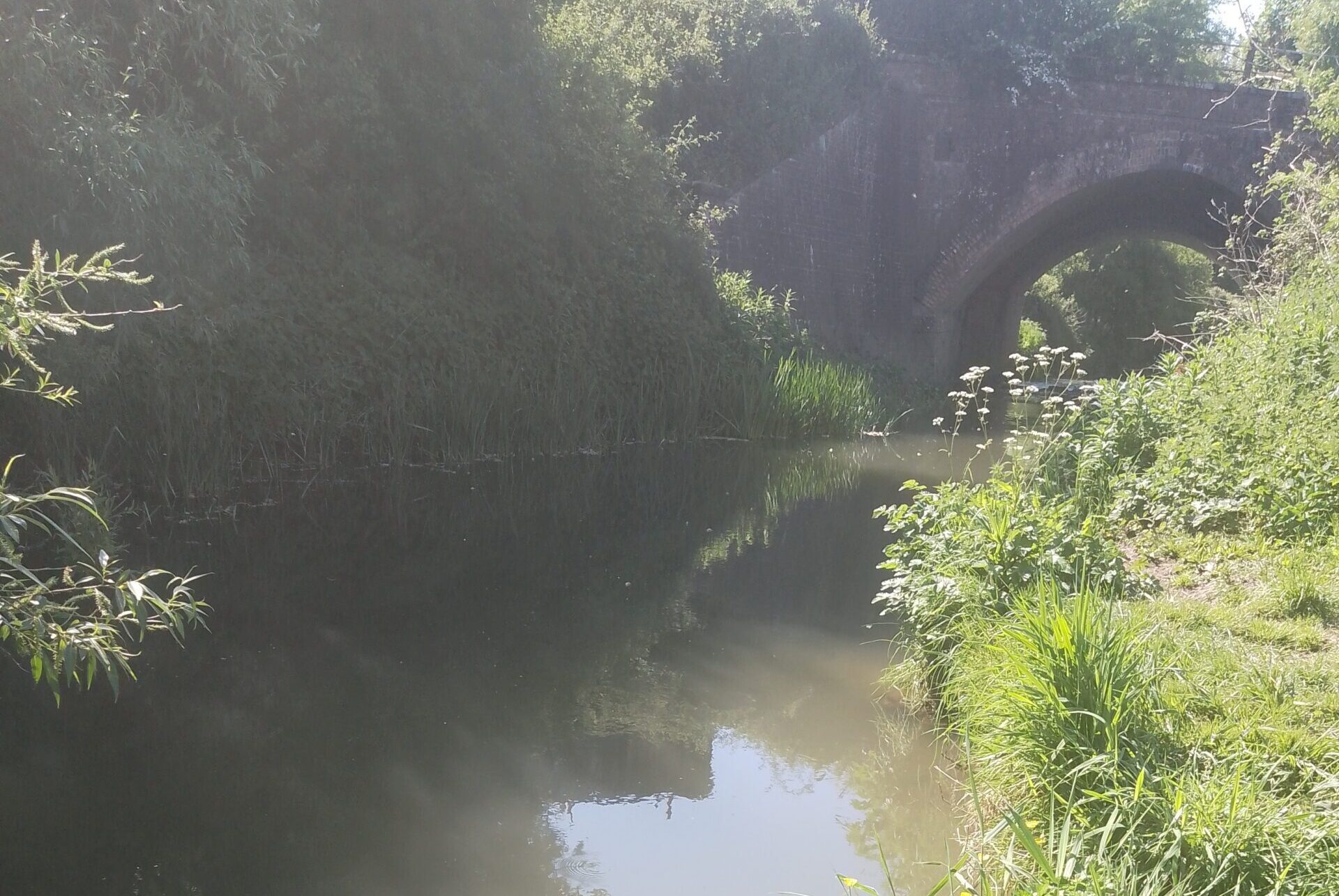River Stour Common Mead Lane/Chantry - gillinghamanglingclub.co.uk